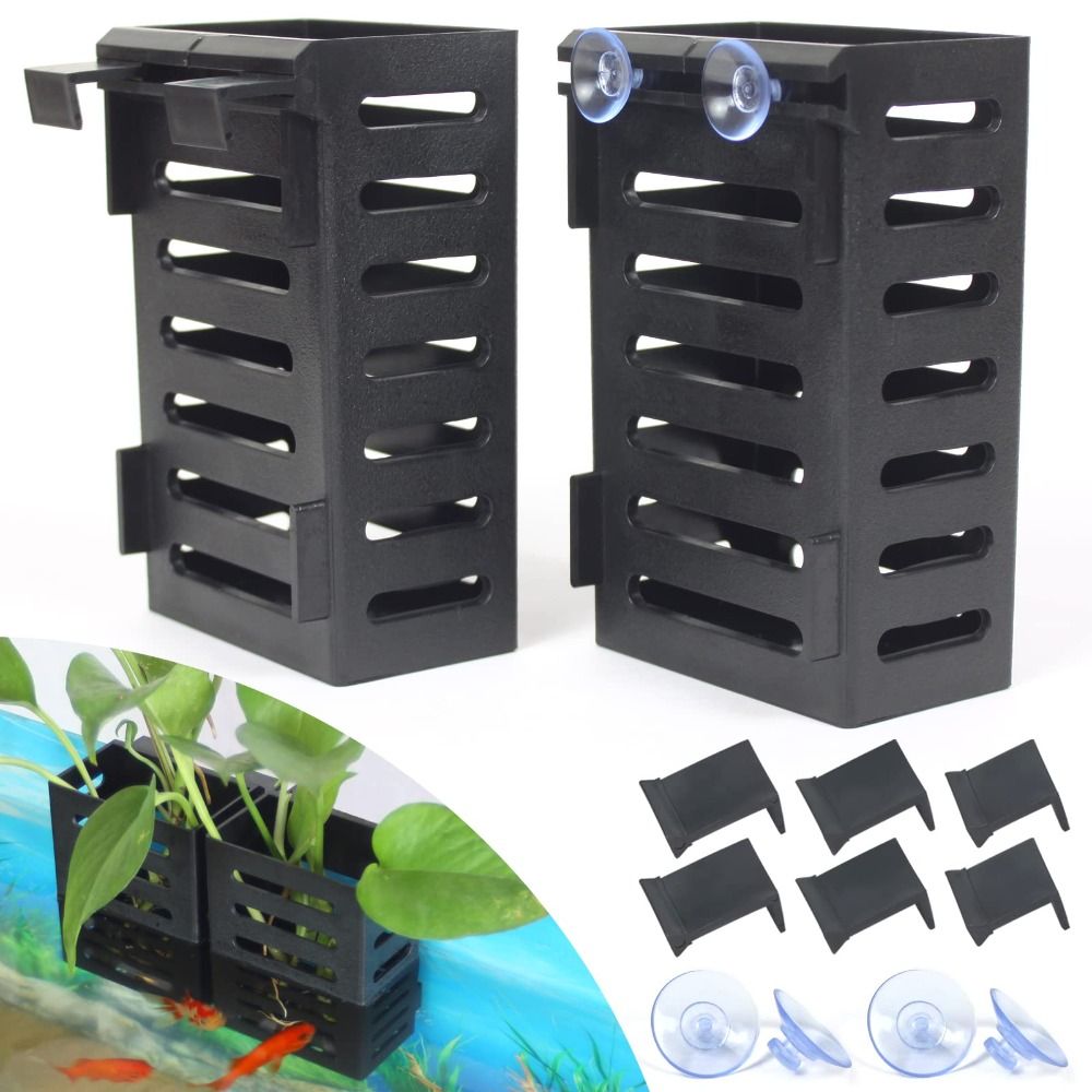 Water Plant Landscape Aquarium - Emersed Plants Aquarium ulasan dan harga