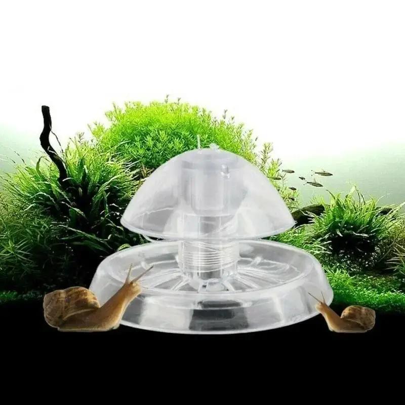 2026 New 6/8CM Clear Plastic S - Planted Aquarium Cleaning ulasan dan harga