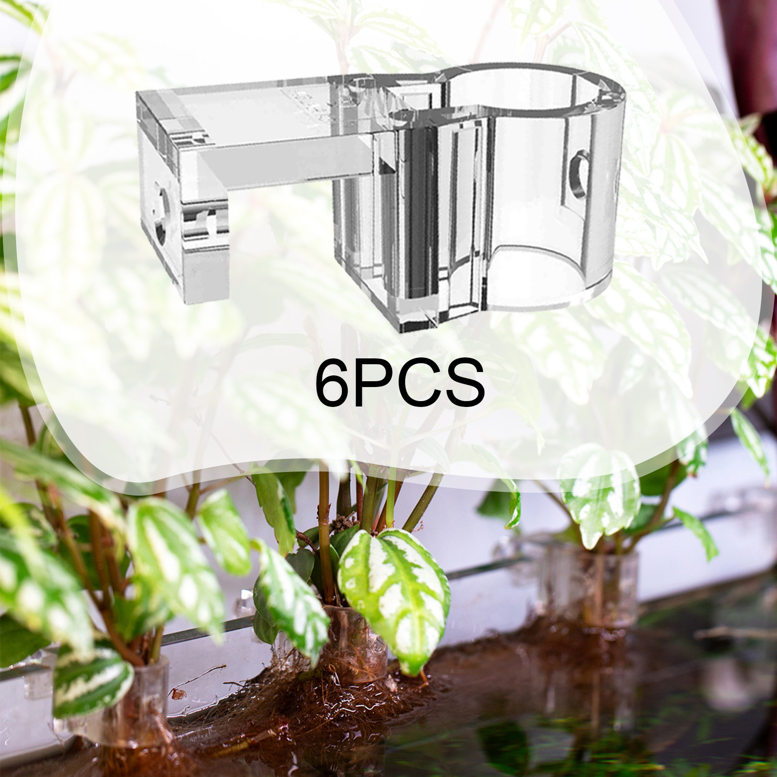 6Pcs Aquarium Plant Holder Sup - Planted Aquarium Mini ulasan dan harga