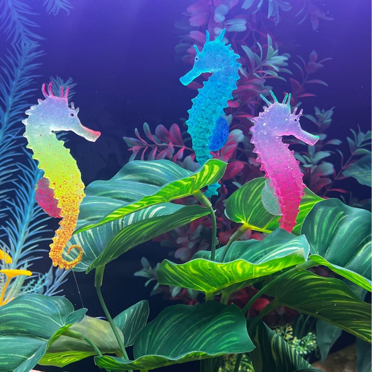 Simulated Luminous Seahorse Fi - Aquarium Planted Substrate ulasan dan harga