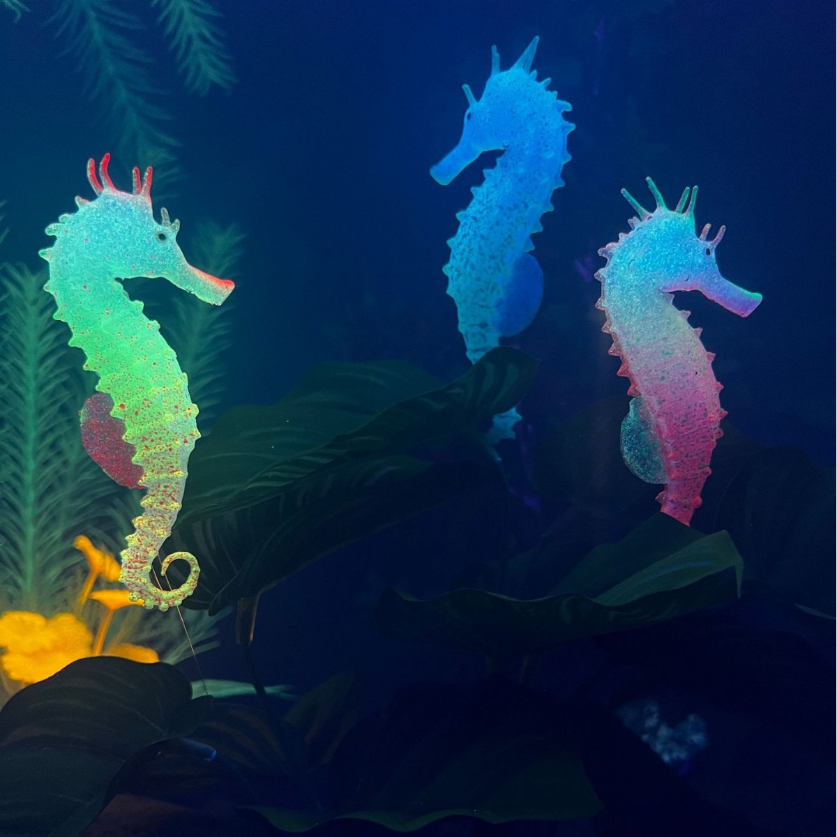 Simulated Luminous Seahorse Fi - Aquarium Planted Substrate ulasan dan harga