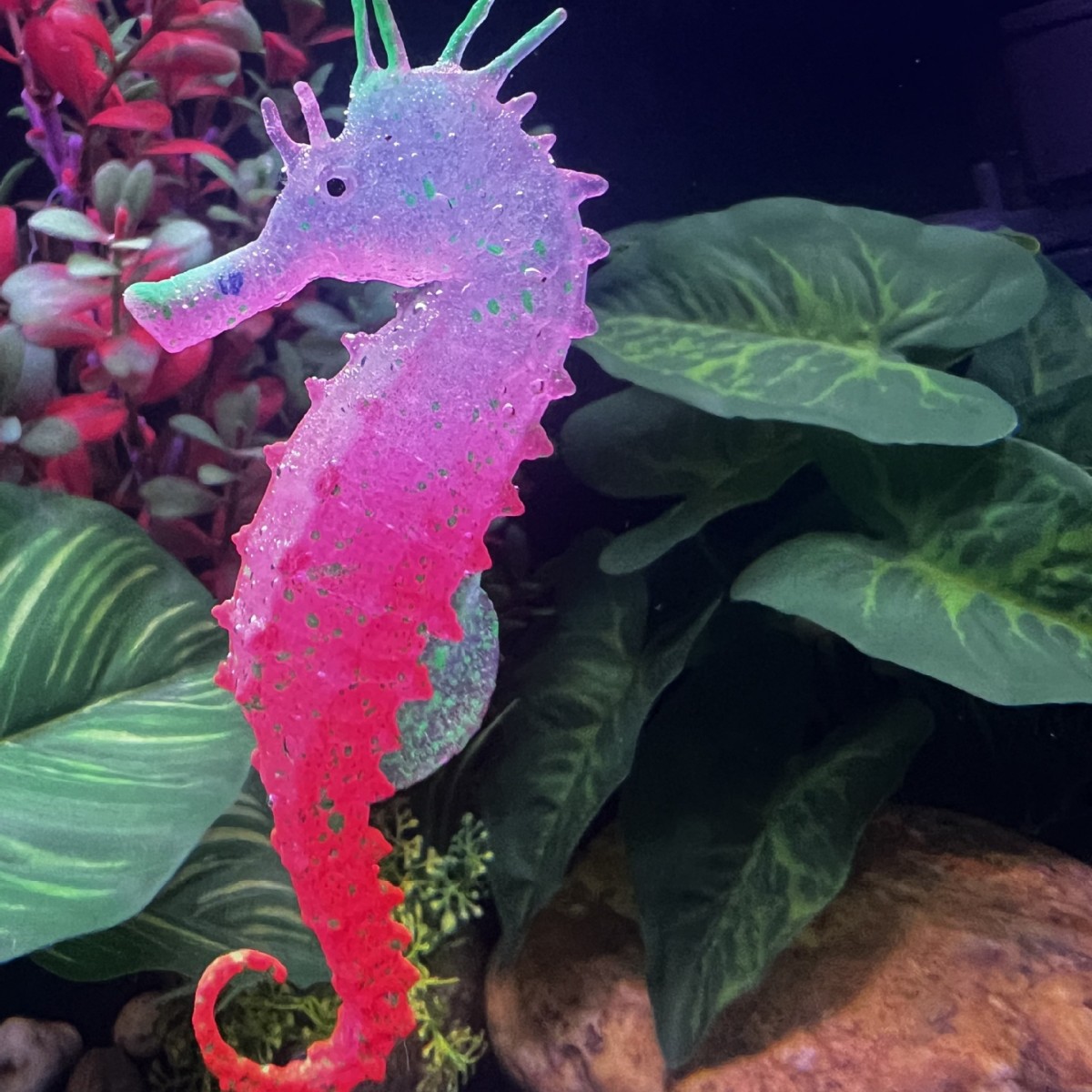 Simulated Luminous Seahorse Fi - Aquarium Planted Substrate ulasan dan harga