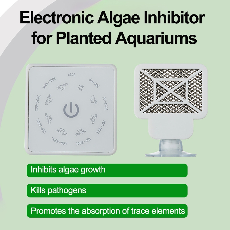 Electronic Aquarium Fish Tank  - Planted Aquarium Cleaning ulasan dan harga