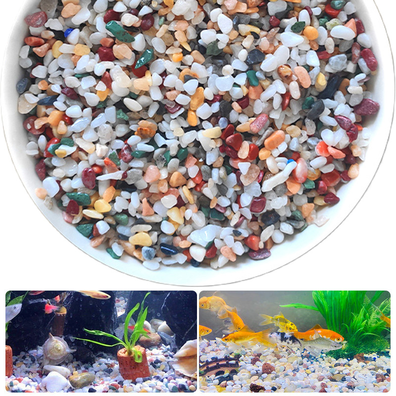 Natural Gravel Stone 200~1000g - Aquarium Planted Sand ulasan dan harga