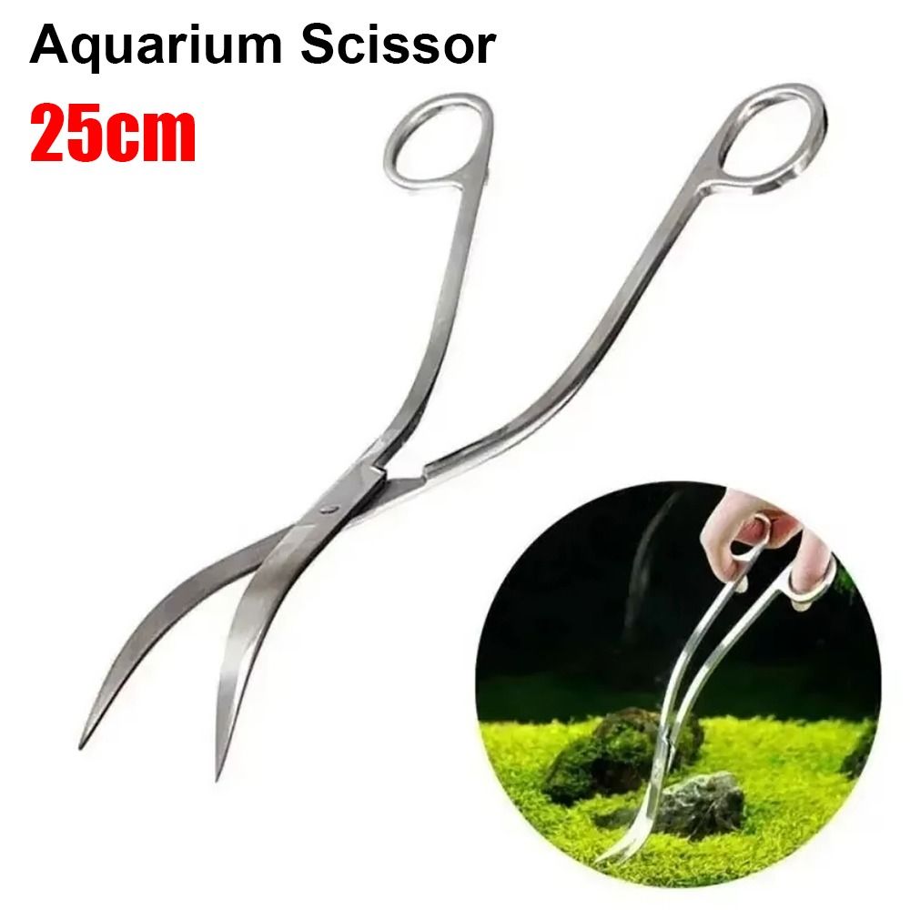100g Quartz Sand for Potted Pl - Aquarium Planted Sand ulasan dan harga