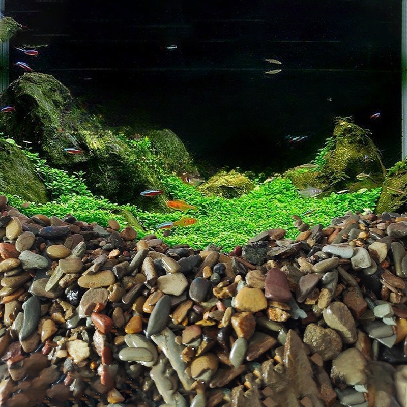 Stream Pebbles Aquarium Bottom - Aquarium Planted Sand ulasan dan harga