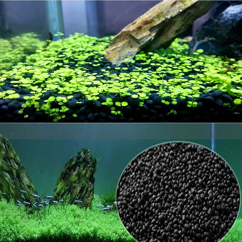 Fish  Sand Auarium Substrate 1 - Aquarium Planted Sand ulasan dan harga