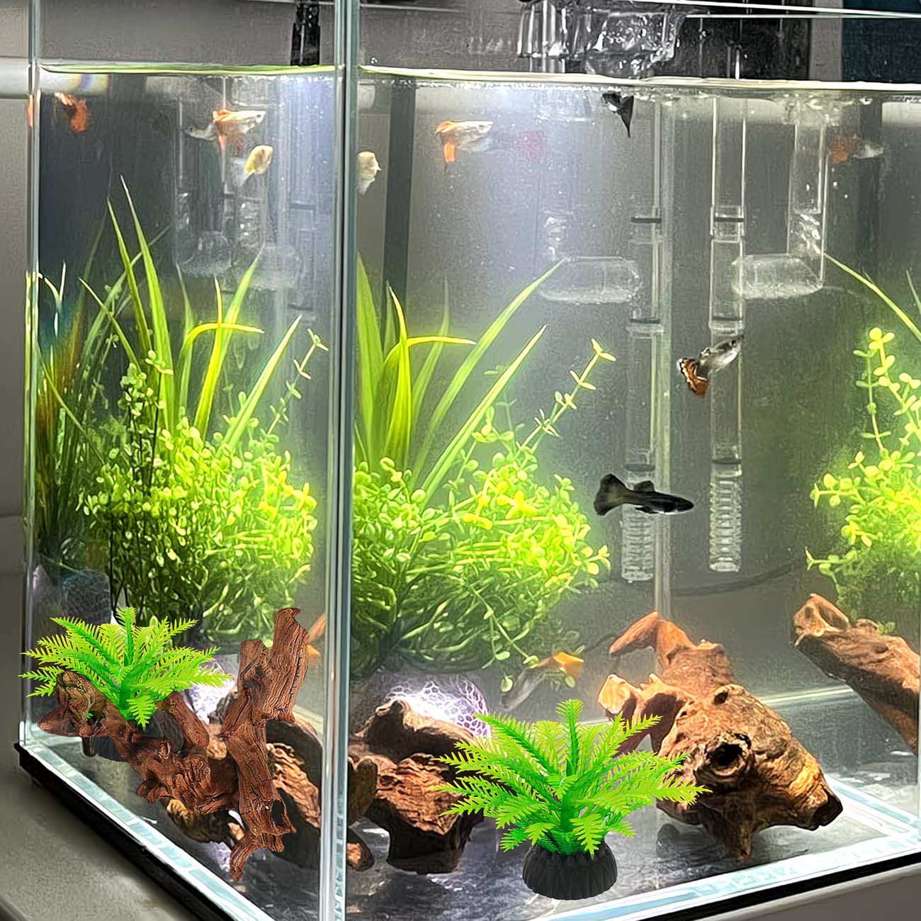 5-10CM Natural Sinkable Driftw - Aquarium Planted Substrate ulasan dan harga