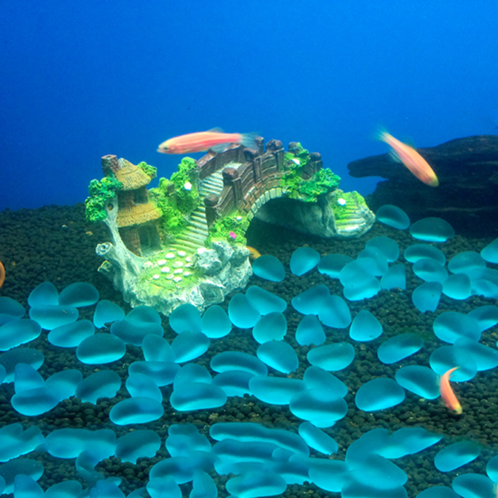 Aquarium Accessories Arbor Tre - Aquarium Planted Substrate ulasan dan harga